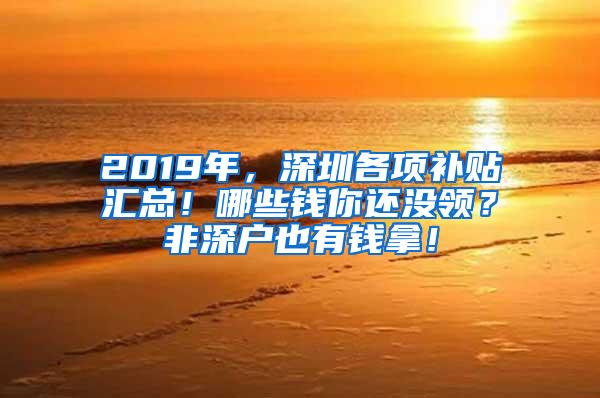 2019年，深圳各项补贴汇总！哪些钱你还没领？非深户也有钱拿！