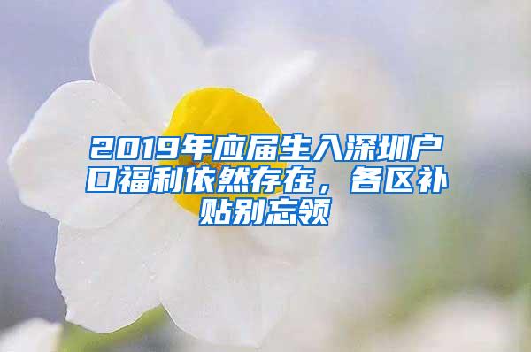 2019年应届生入深圳户口福利依然存在，各区补贴别忘领