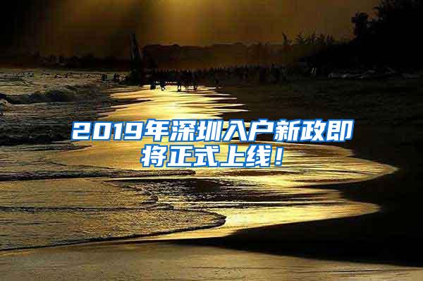 2019年深圳入户新政即将正式上线！