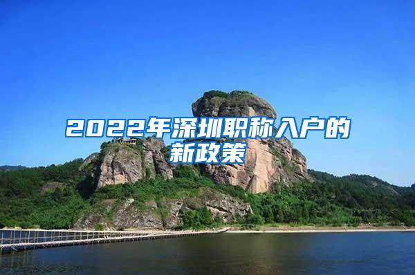 2022年深圳职称入户的新政策