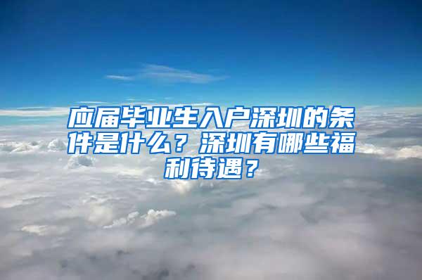 应届毕业生入户深圳的条件是什么？深圳有哪些福利待遇？