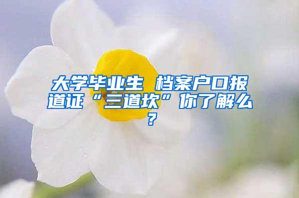 大学毕业生 档案户口报道证“三道坎”你了解么？