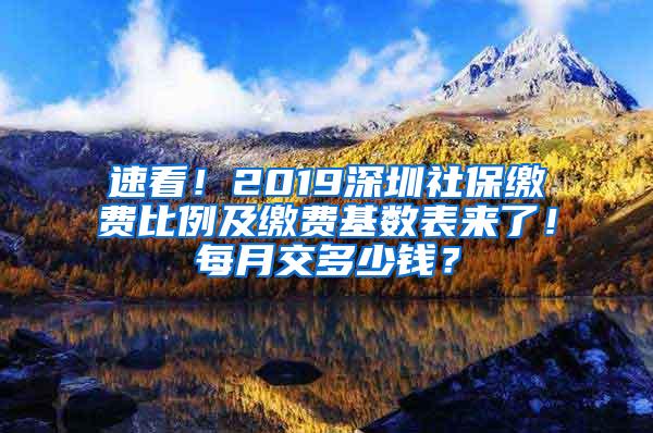 速看！2019深圳社保缴费比例及缴费基数表来了！每月交多少钱？