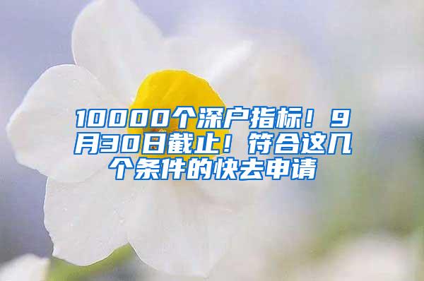 10000个深户指标！9月30日截止！符合这几个条件的快去申请