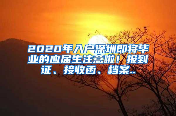 2020年入户深圳即将毕业的应届生注意啦！报到证、接收函、档案..