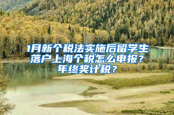 1月新个税法实施后留学生落户上海个税怎么申报？年终奖计税？