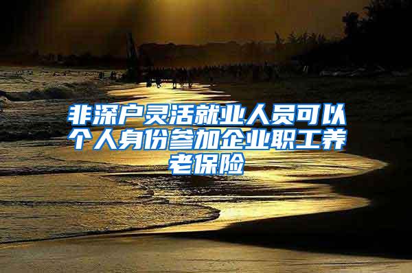 非深户灵活就业人员可以个人身份参加企业职工养老保险