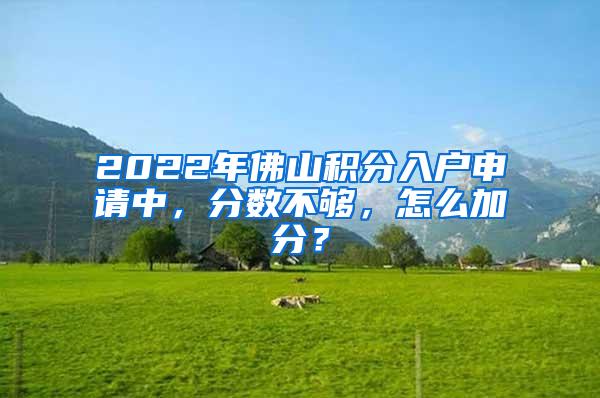 2022年佛山积分入户申请中，分数不够，怎么加分？