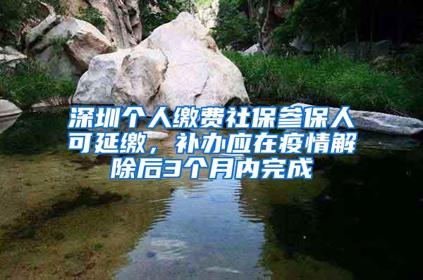 深圳个人缴费社保参保人可延缴，补办应在疫情解除后3个月内完成