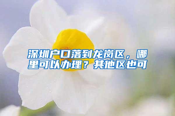 深圳户口落到龙岗区，哪里可以办理？其他区也可