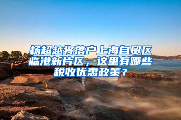 杨超越将落户上海自贸区临港新片区，这里有哪些税收优惠政策？