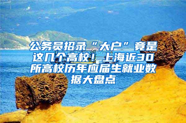 公务员招录“大户”竟是这几个高校！上海近30所高校历年应届生就业数据大盘点