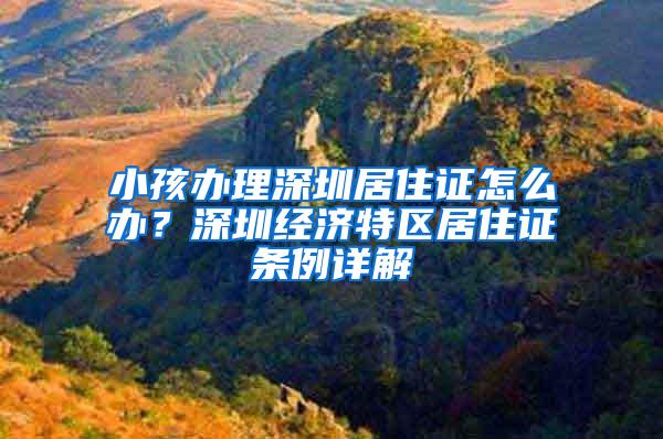 小孩办理深圳居住证怎么办？深圳经济特区居住证条例详解