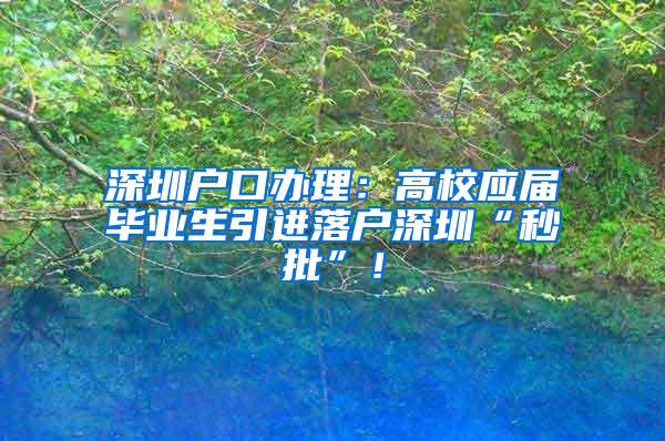 深圳户口办理：高校应届毕业生引进落户深圳“秒批”！