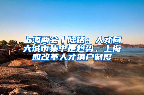 上海两会丨陆铭：人才向大城市集中是趋势，上海应改革人才落户制度