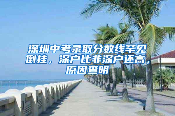 深圳中考录取分数线罕见倒挂，深户比非深户还高，原因查明