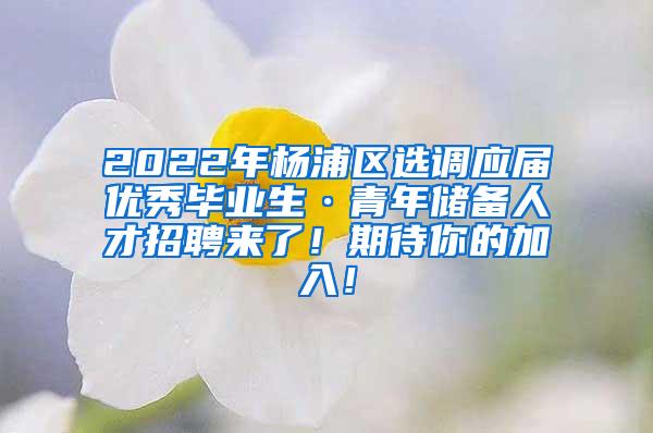 2022年杨浦区选调应届优秀毕业生·青年储备人才招聘来了！期待你的加入！