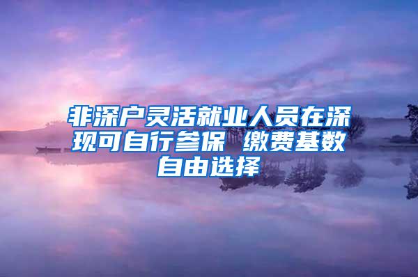 非深户灵活就业人员在深现可自行参保 缴费基数自由选择