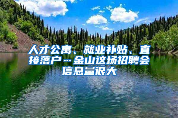 人才公寓、就业补贴、直接落户…金山这场招聘会信息量很大