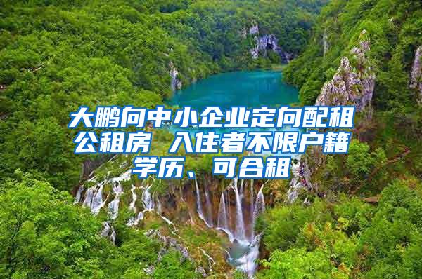 大鹏向中小企业定向配租公租房 入住者不限户籍学历、可合租