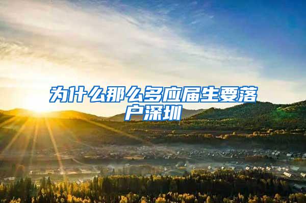 为什么那么多应届生要落户深圳