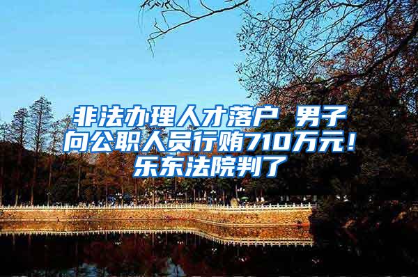 非法办理人才落户 男子向公职人员行贿710万元！乐东法院判了