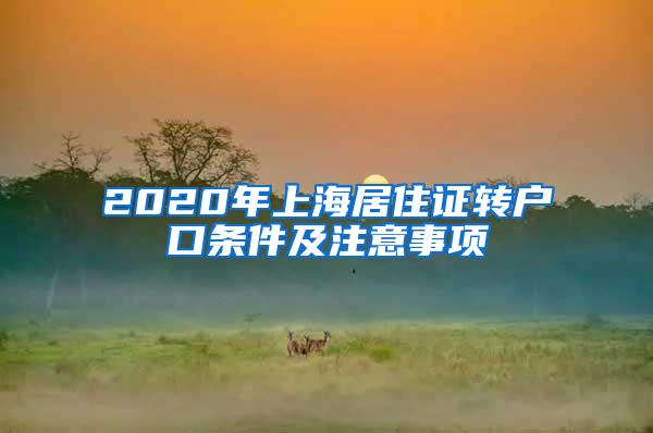 2020年上海居住证转户口条件及注意事项