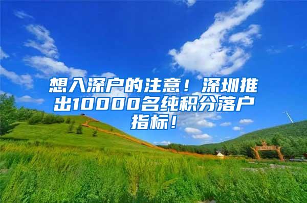 想入深户的注意！深圳推出10000名纯积分落户指标！