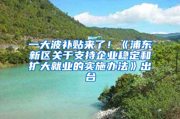 一大波补贴来了！《浦东新区关于支持企业稳定和扩大就业的实施办法》出台