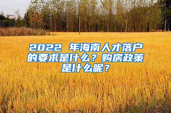 2022 年海南人才落户的要求是什么？购房政策是什么呢？