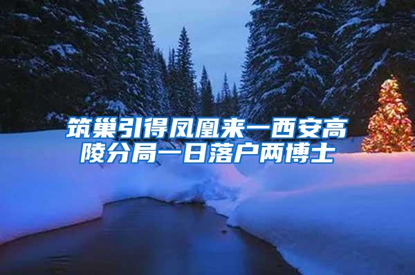 筑巢引得凤凰来一西安高陵分局一日落户两博士