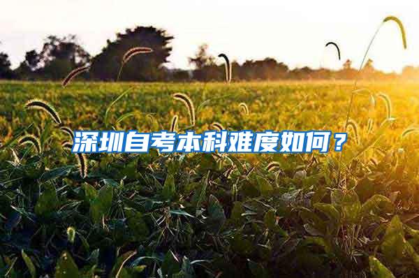 深圳自考本科难度如何？