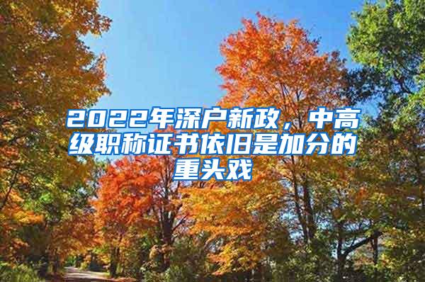 2022年深户新政，中高级职称证书依旧是加分的重头戏