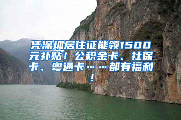 凭深圳居住证能领1500元补贴！公积金卡、社保卡、粤通卡……都有福利！