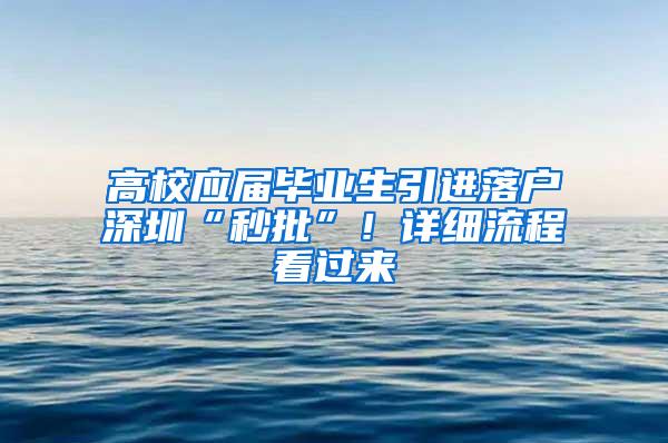 高校应届毕业生引进落户深圳“秒批”！详细流程看过来