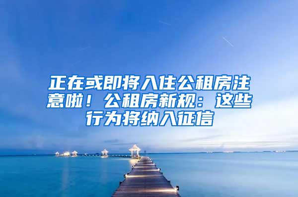 正在或即将入住公租房注意啦！公租房新规：这些行为将纳入征信