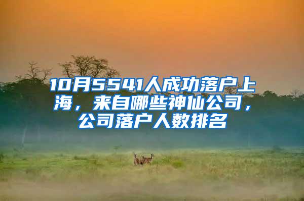 10月5541人成功落户上海，来自哪些神仙公司，公司落户人数排名