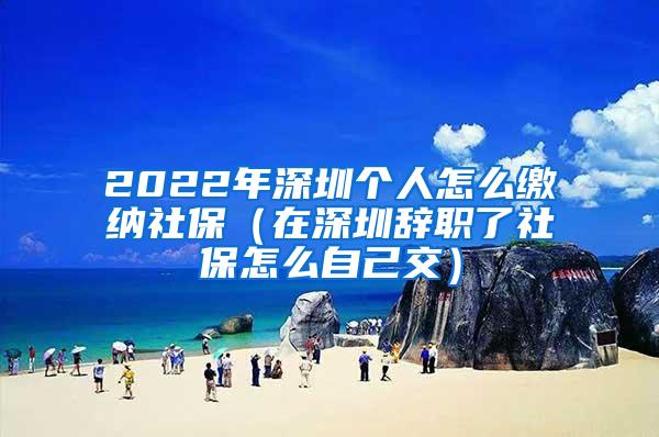 2022年深圳个人怎么缴纳社保（在深圳辞职了社保怎么自己交）