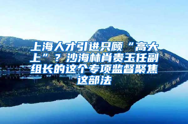 上海人才引进只顾“高大上”？沙海林肖贵玉任副组长的这个专项监督聚焦这部法