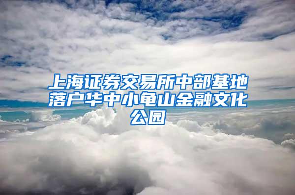 上海证券交易所中部基地落户华中小龟山金融文化公园