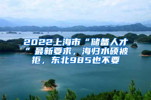 2022上海市“储备人才”最新要求，海归水硕被拒，东北985也不要