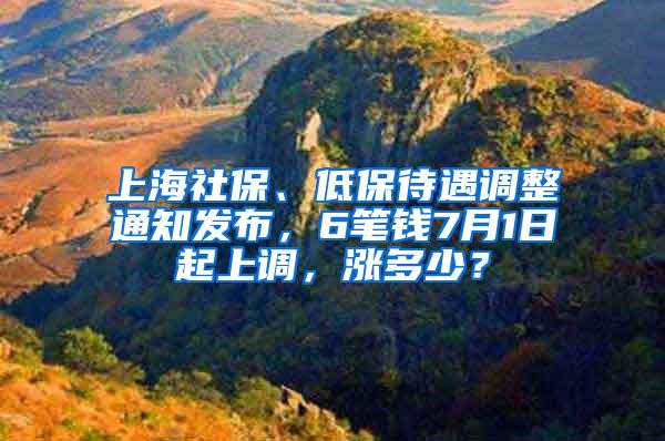 上海社保、低保待遇调整通知发布，6笔钱7月1日起上调，涨多少？