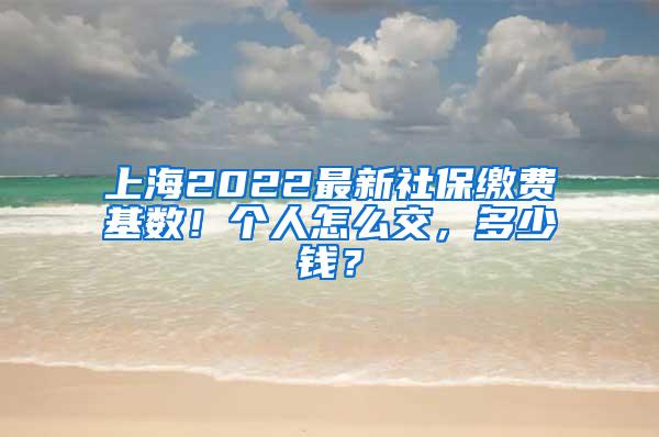 上海2022最新社保缴费基数！个人怎么交，多少钱？