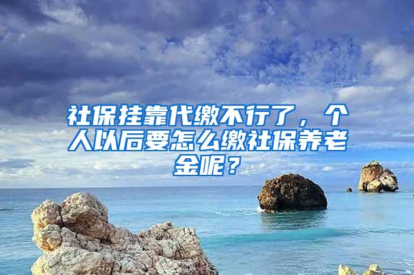 社保挂靠代缴不行了，个人以后要怎么缴社保养老金呢？