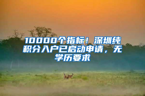 10000个指标！深圳纯积分入户已启动申请，无学历要求