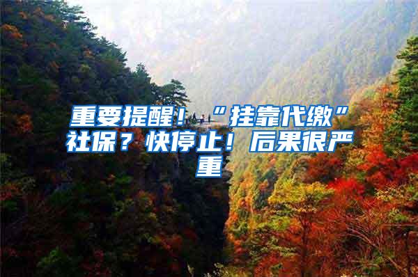 重要提醒！“挂靠代缴”社保？快停止！后果很严重