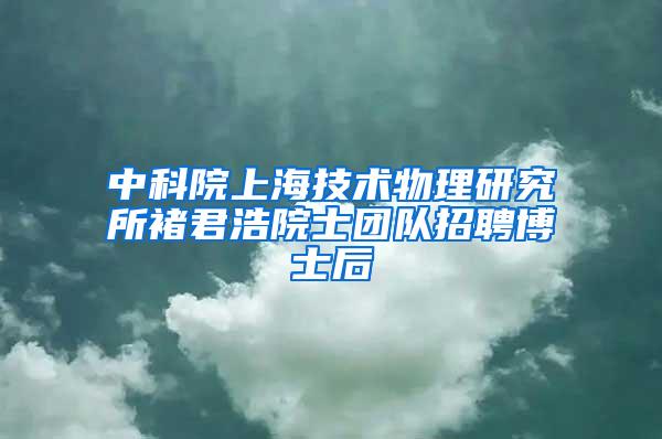 中科院上海技术物理研究所褚君浩院士团队招聘博士后