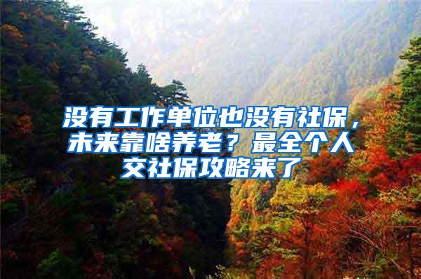 没有工作单位也没有社保，未来靠啥养老？最全个人交社保攻略来了