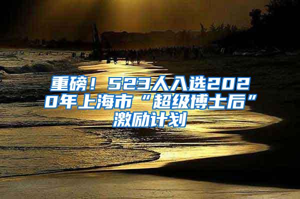 重磅！523人入选2020年上海市“超级博士后”激励计划