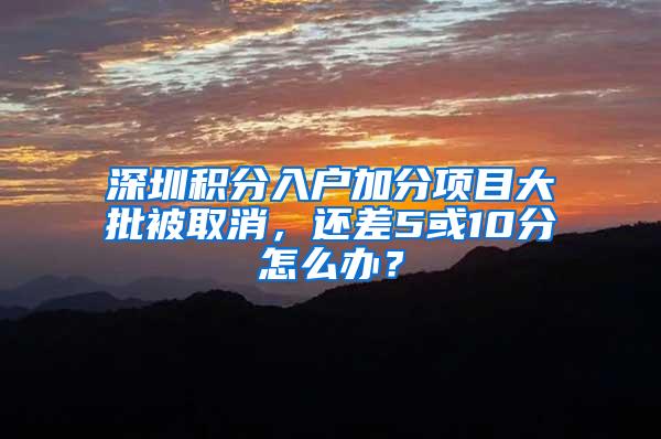 深圳积分入户加分项目大批被取消，还差5或10分怎么办？